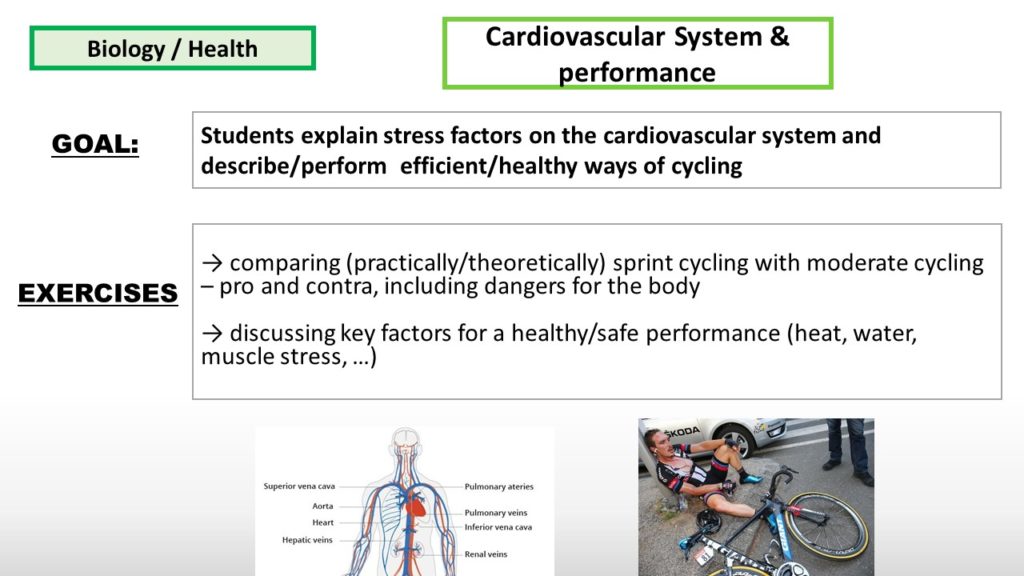 Cardiovascular system & performance – STEM on the move